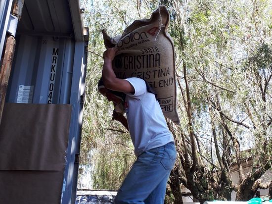 Specialty Green Coffee Producers, Importers and Direct Traders El SALVADOR – AUSTRIA